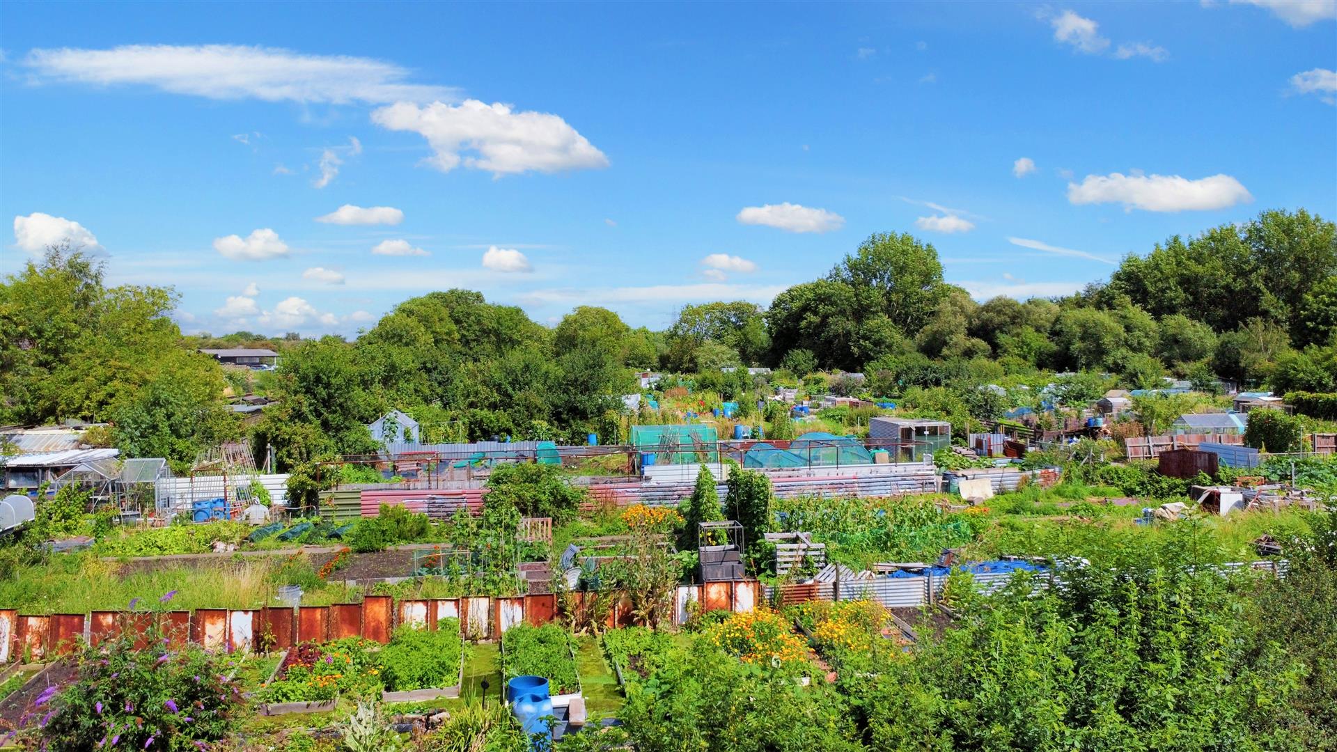 Meadow Lane, Long Eaton Robert Ellis Estate Agents